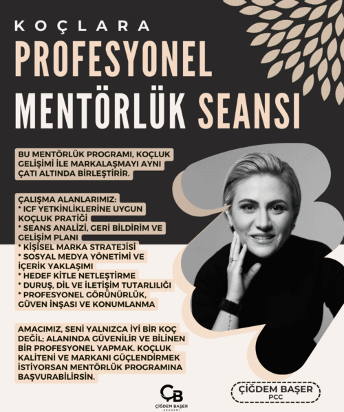 Profesyonel Mentörlük Seansı